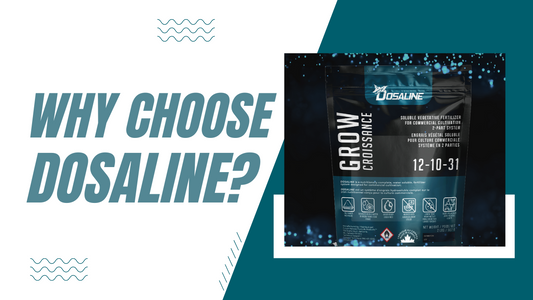 Why Choose Dosaline Fertilizer For Your Plant Growth?