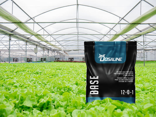 Growing with Dosaline Base - Future Harvest