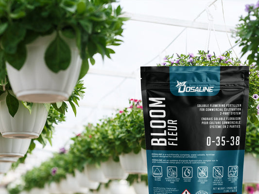 Growing with Dosaline Bloom - Future Harvest