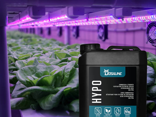 Growing with Dosaline Hypo: The Power of Hypochlorous Acid in Indoor Farming - Future Harvest