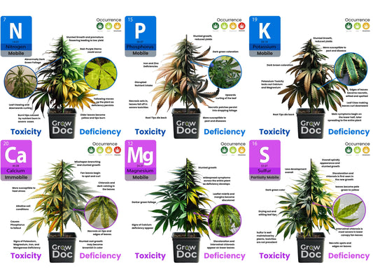 How To Find and Fix Nutrient Deficiencies and Toxicities in Cannabis Plants - Future Harvest