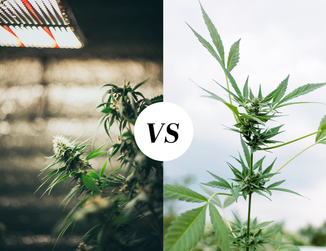 Indoor Vs. Outdoor Growing - Future Harvest