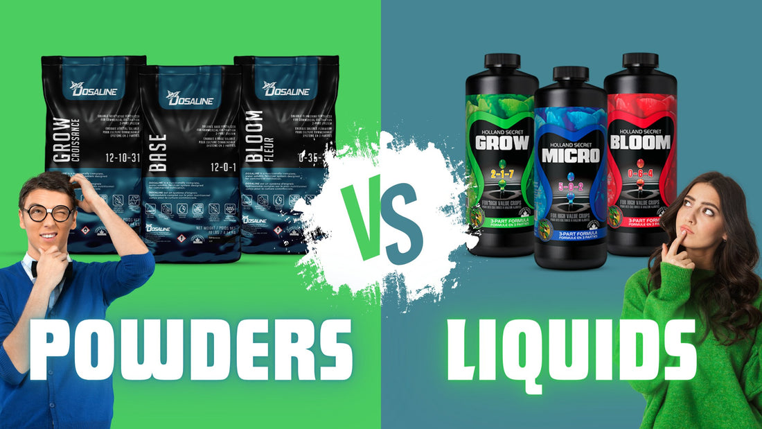 Liquids vs. Powders: Choosing the Best Hydroponic Fertilizer - Future Harvest