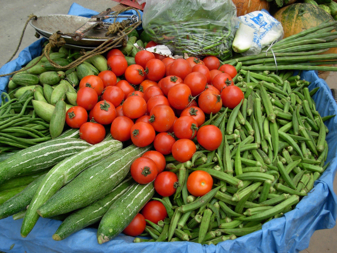 Nostalgia vs. Nutrition: The Real Story of Food Safety Over the Ages - Future Harvest