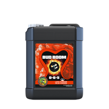 Bud_Boom_10Lt_webP