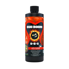 Bud_Boom_500ML_webP