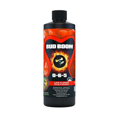 Bud_Boom_500ML_webP