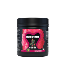 Bud_Start_500Gr_webP