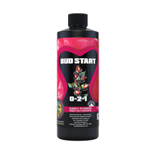 Bud_Start_500ML_webP