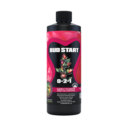 Bud_Start_500ML_webP