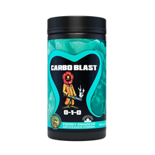 Carbo Blast_650Kg_webP