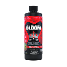 HS_Bloom_500ML_webP