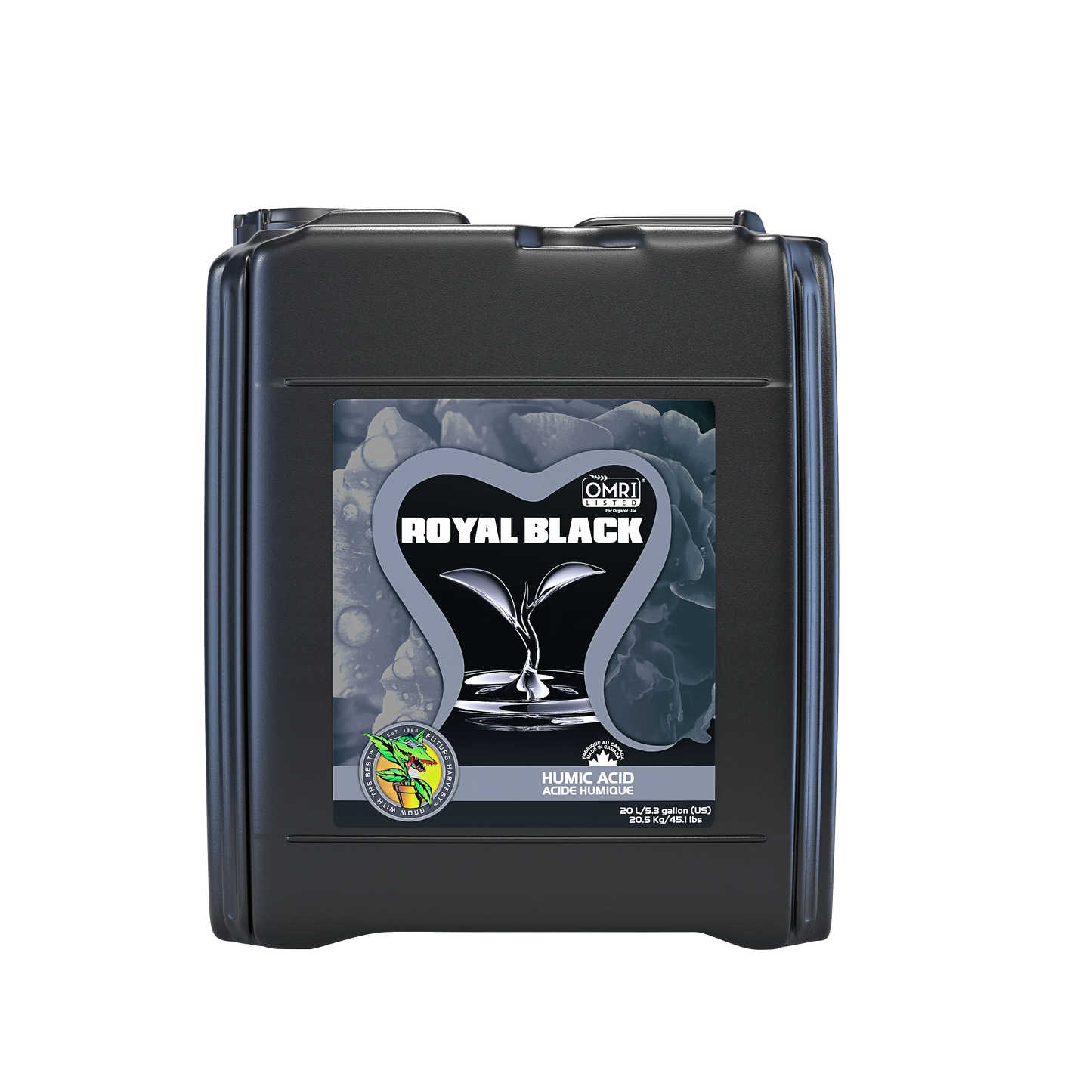 Royal_Black_20Lt_webP