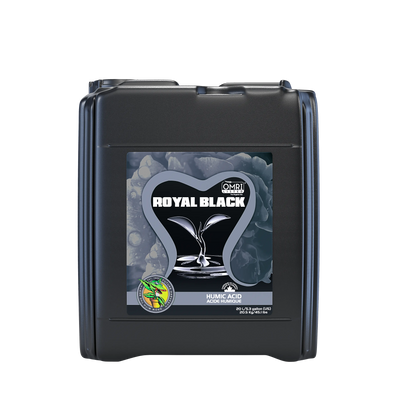 Royal_Black_20Lt_webP