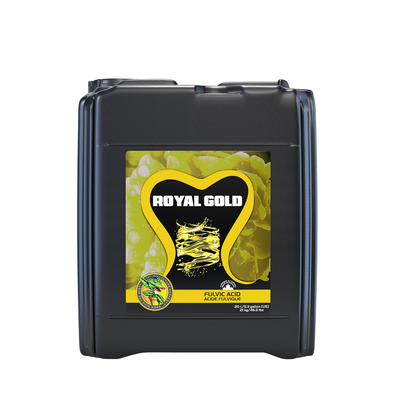 Royal_Gold_20Lt_webP