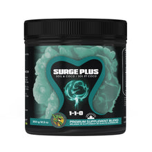 Surge Plus - (1-0-0)