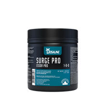 Surge_Pro_454Gr_webP