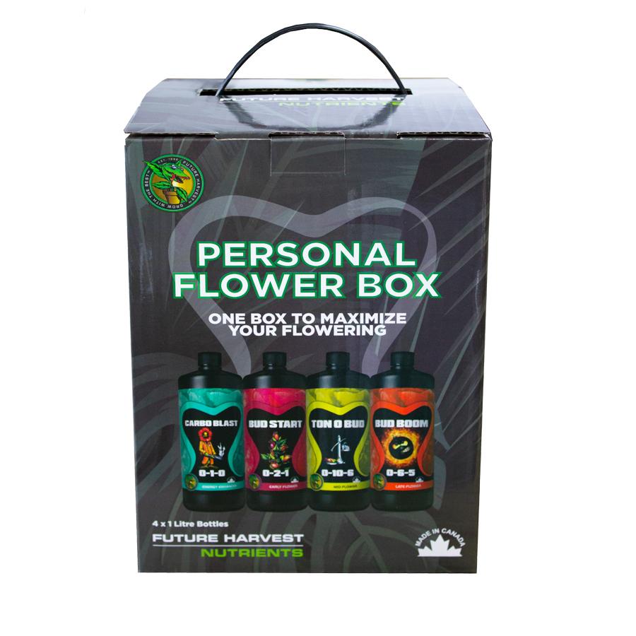 Future Harvest Personal Flower Box (4 x 1L) - Future Harvest